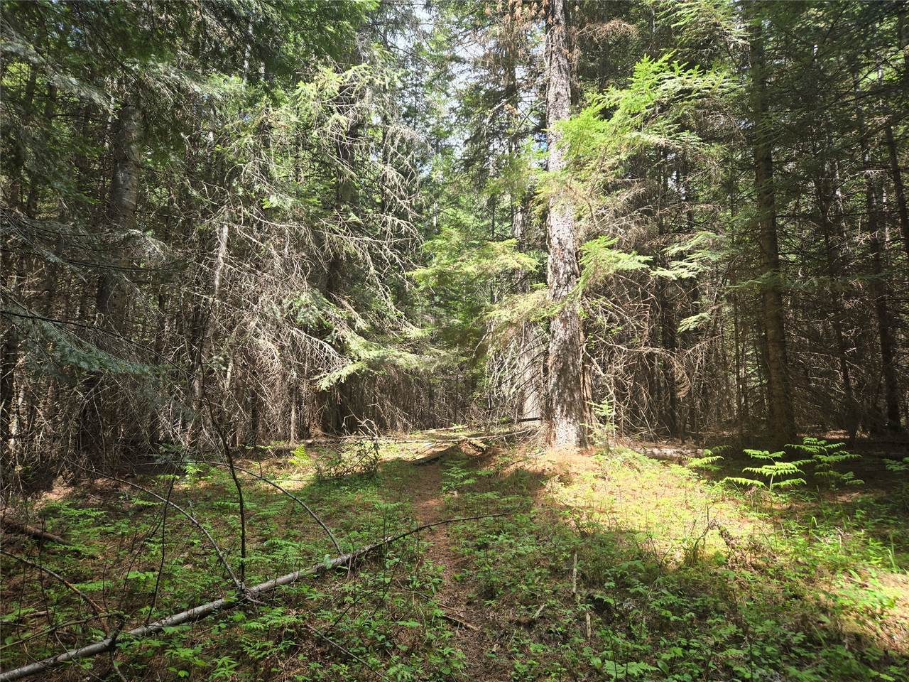 Lot A-2 Elk Heights Lane - Photo 1