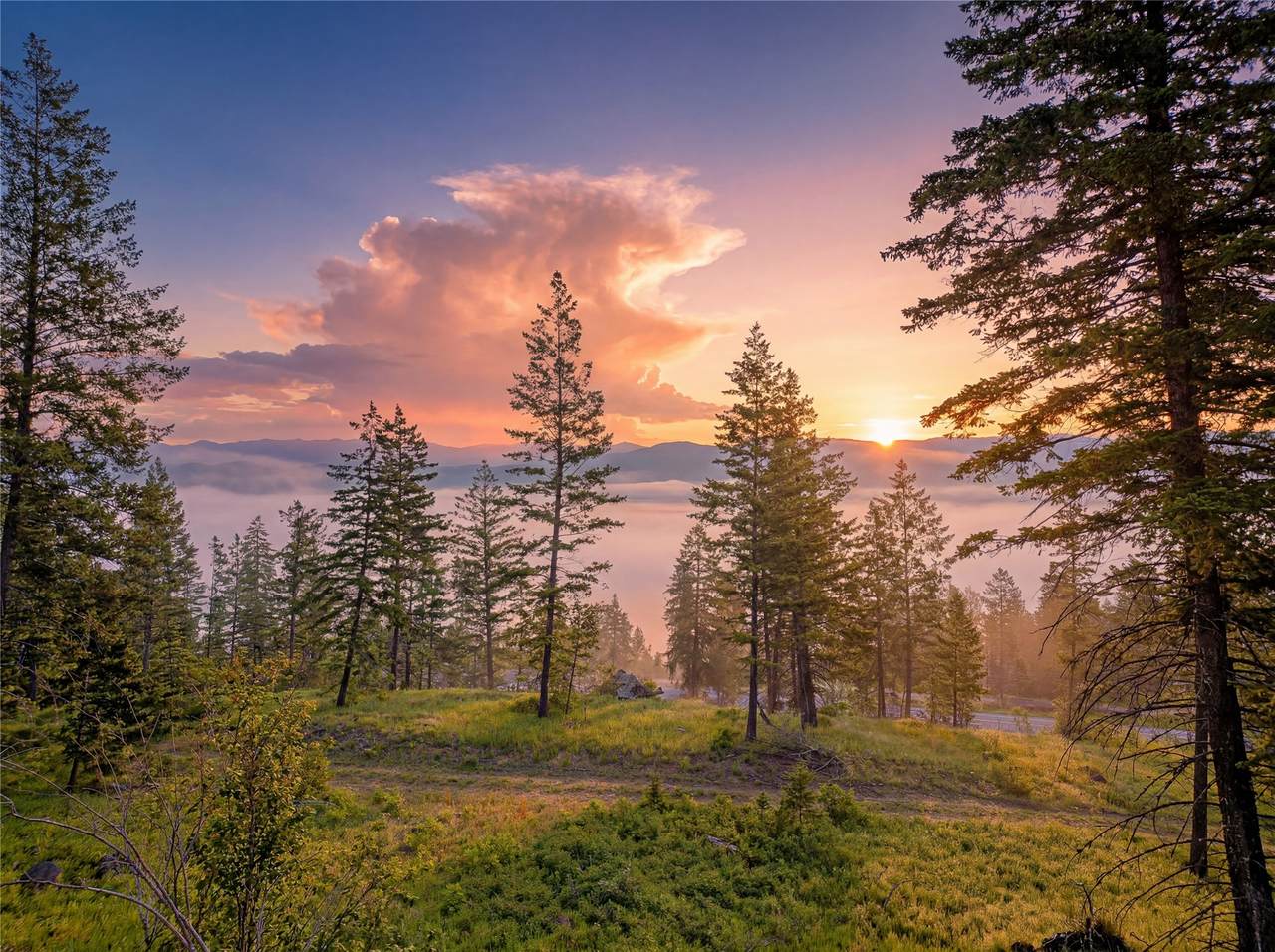 https://bt-photos.global.ssl.fastly.net/nmar/1280_boomver_1_30071619-2.jpg