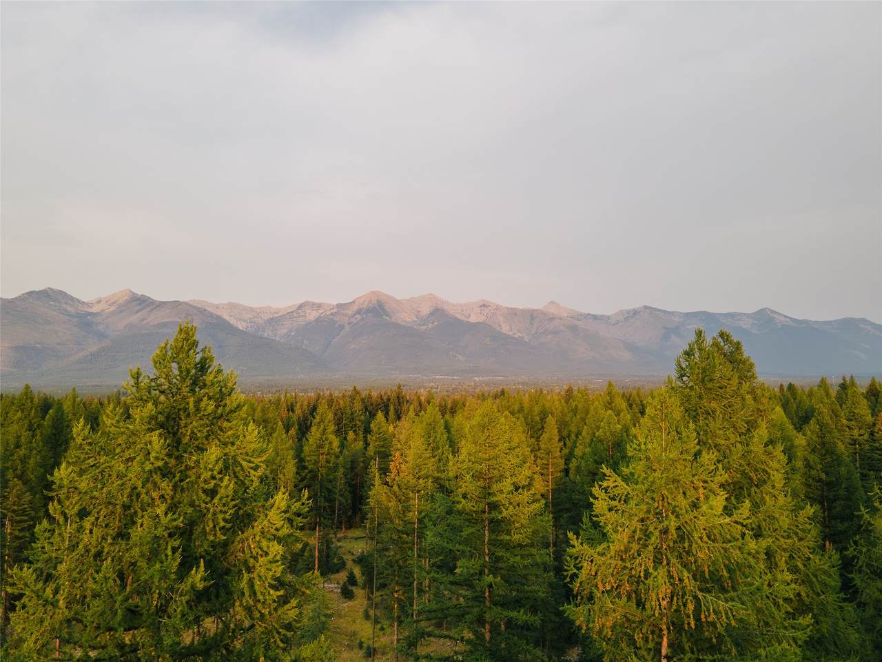 https://bt-photos.global.ssl.fastly.net/nmar/1280_boomver_1_30071645-2.jpg