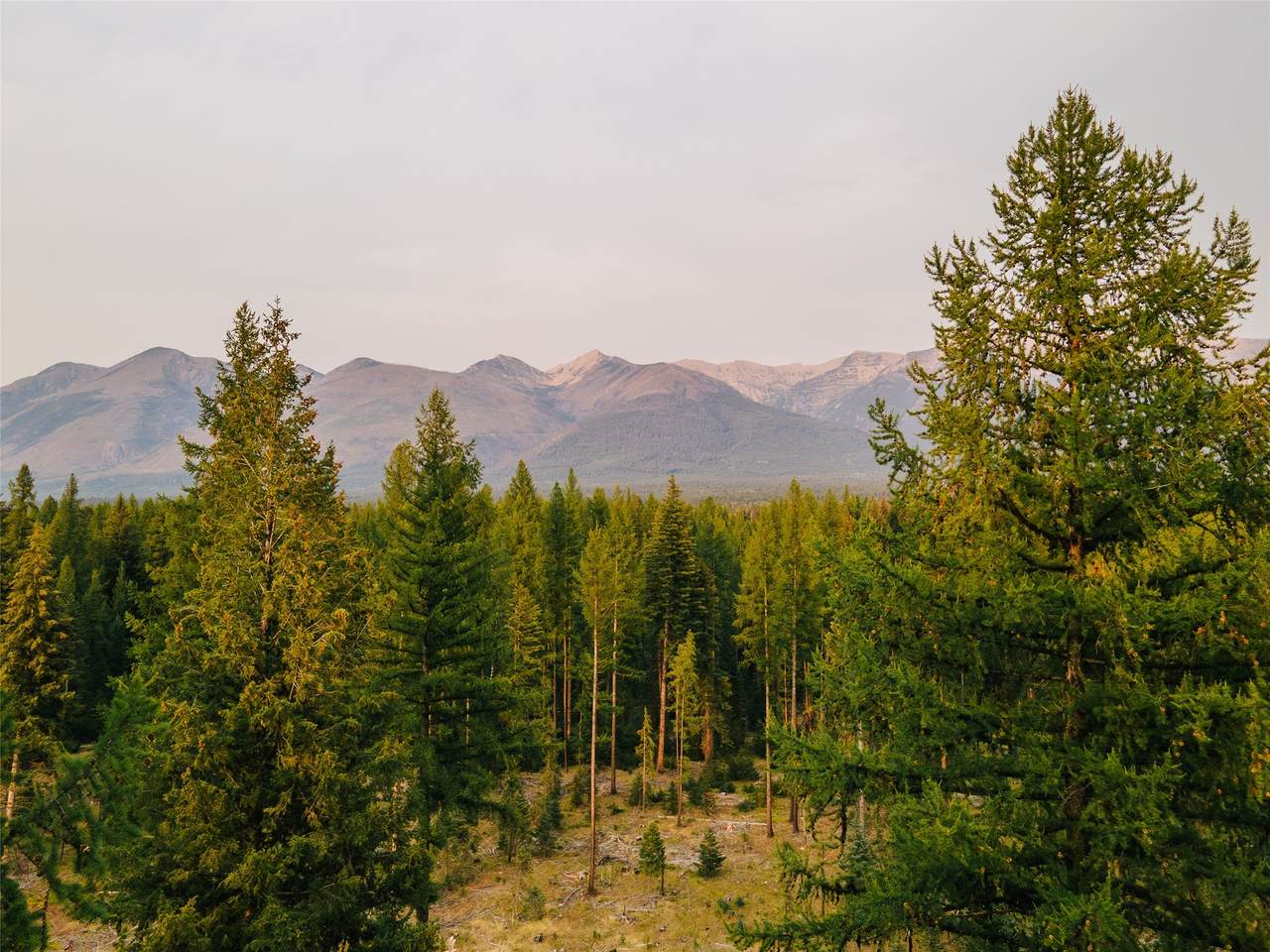 https://bt-photos.global.ssl.fastly.net/nmar/1280_boomver_1_30071645-2.jpg