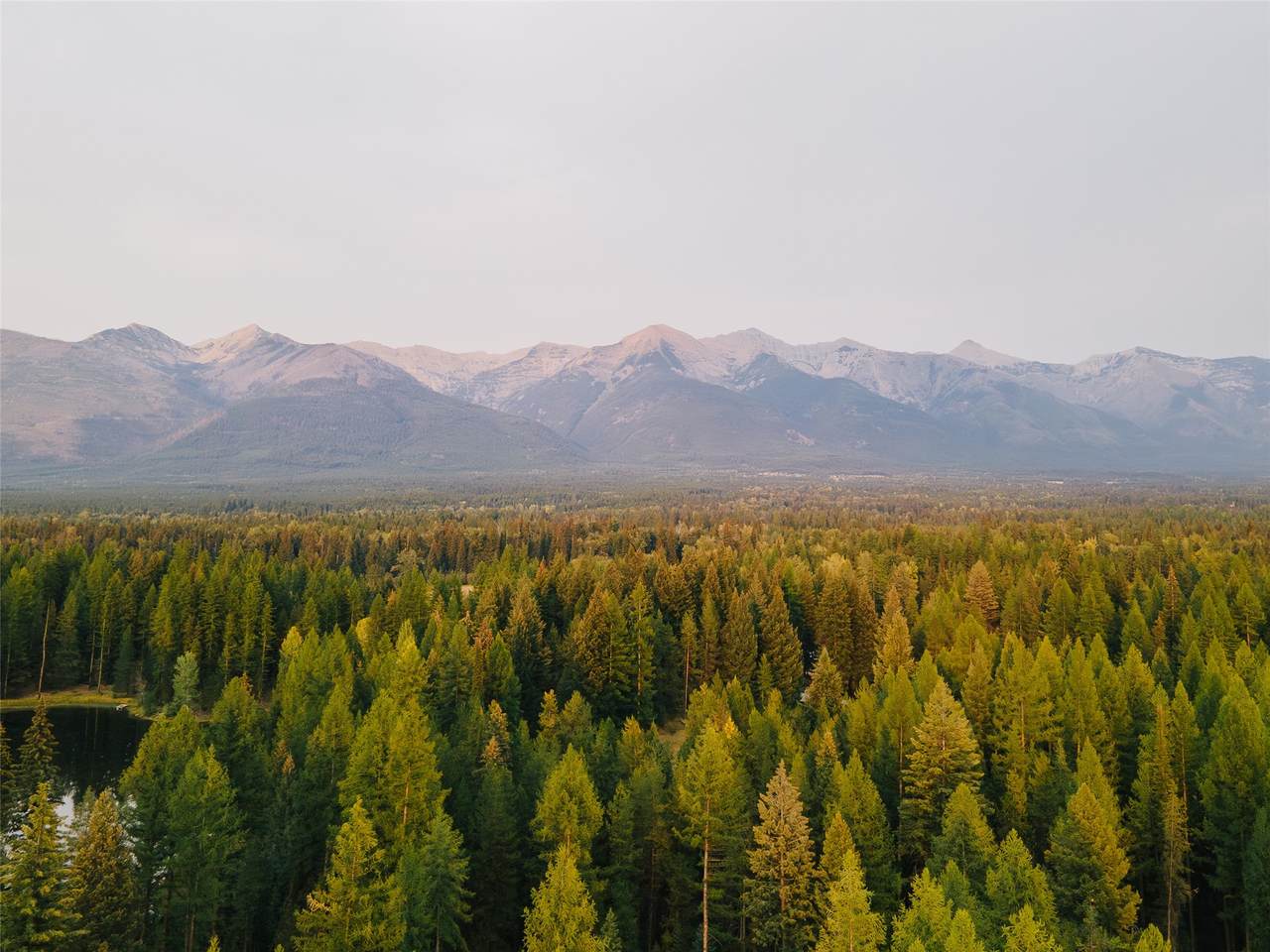 https://bt-photos.global.ssl.fastly.net/nmar/1280_boomver_1_30071645-2.jpg