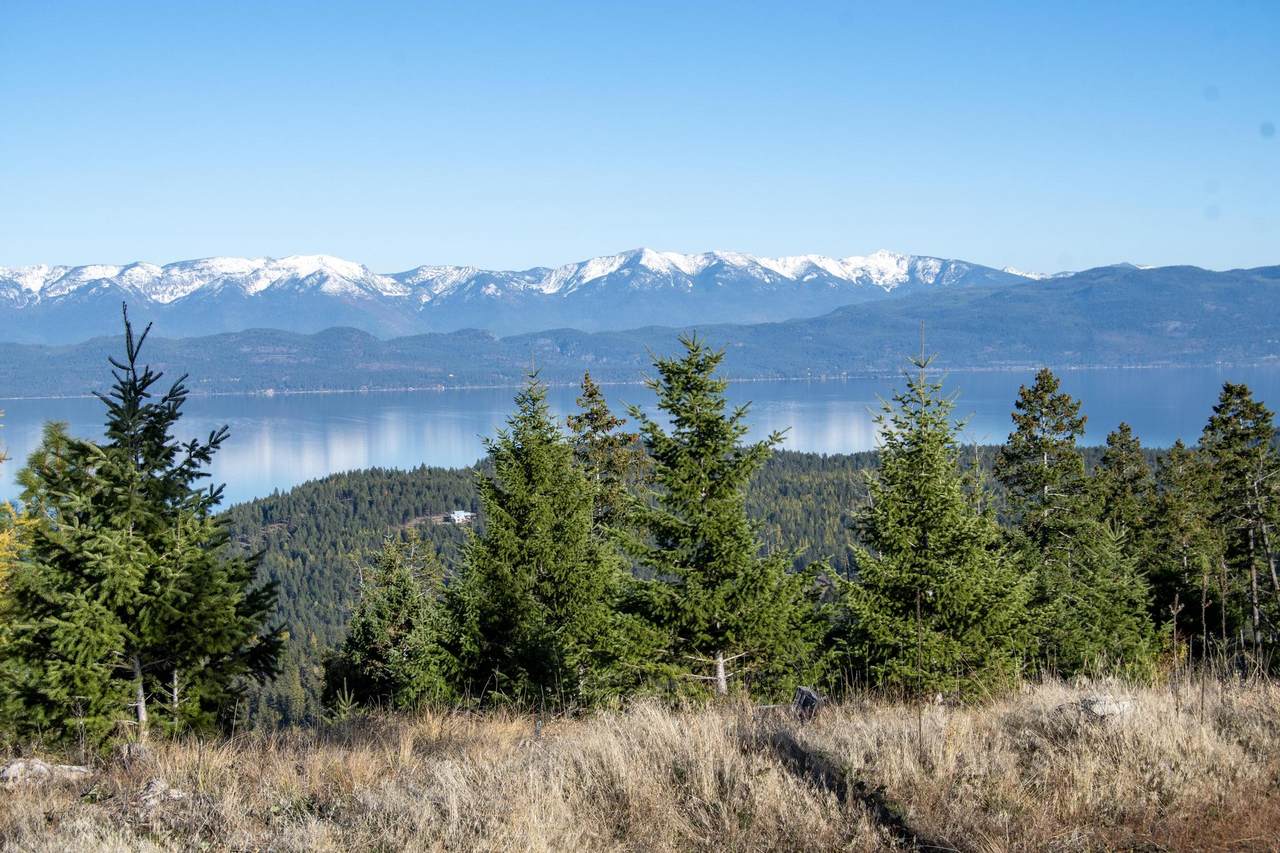 367 Ridge Line Drive - Photo 1