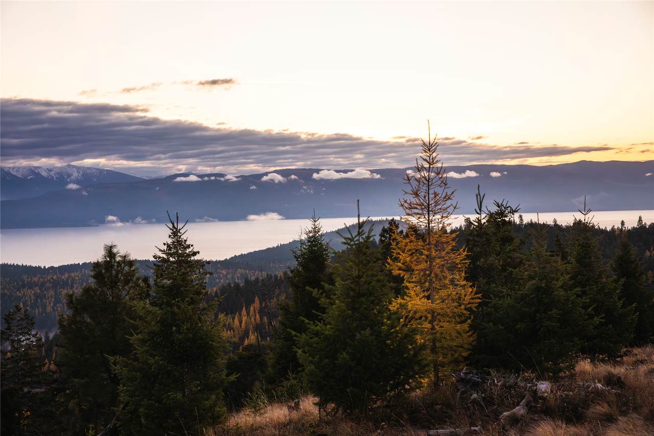 https://bt-photos.global.ssl.fastly.net/nmar/1280_boomver_1_30071676-2.jpg