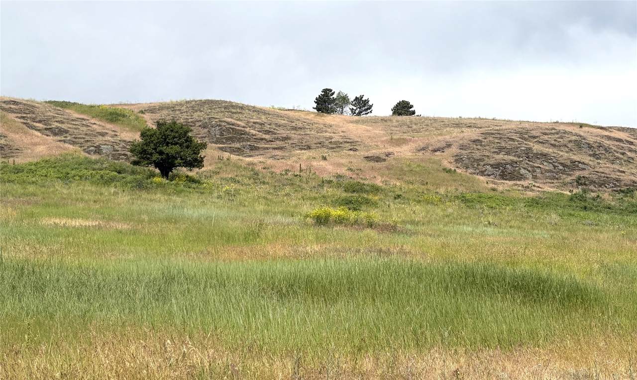 https://bt-photos.global.ssl.fastly.net/nmar/1280_boomver_1_30071938-2.jpg