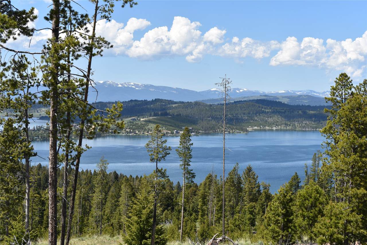 16 Mule Deer Lane - Photo 1