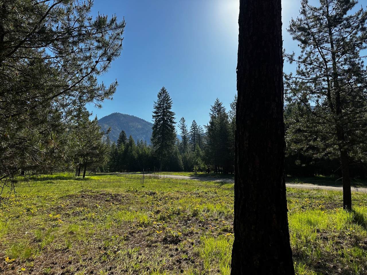 NHN Graves Creek Loop - Photo 1