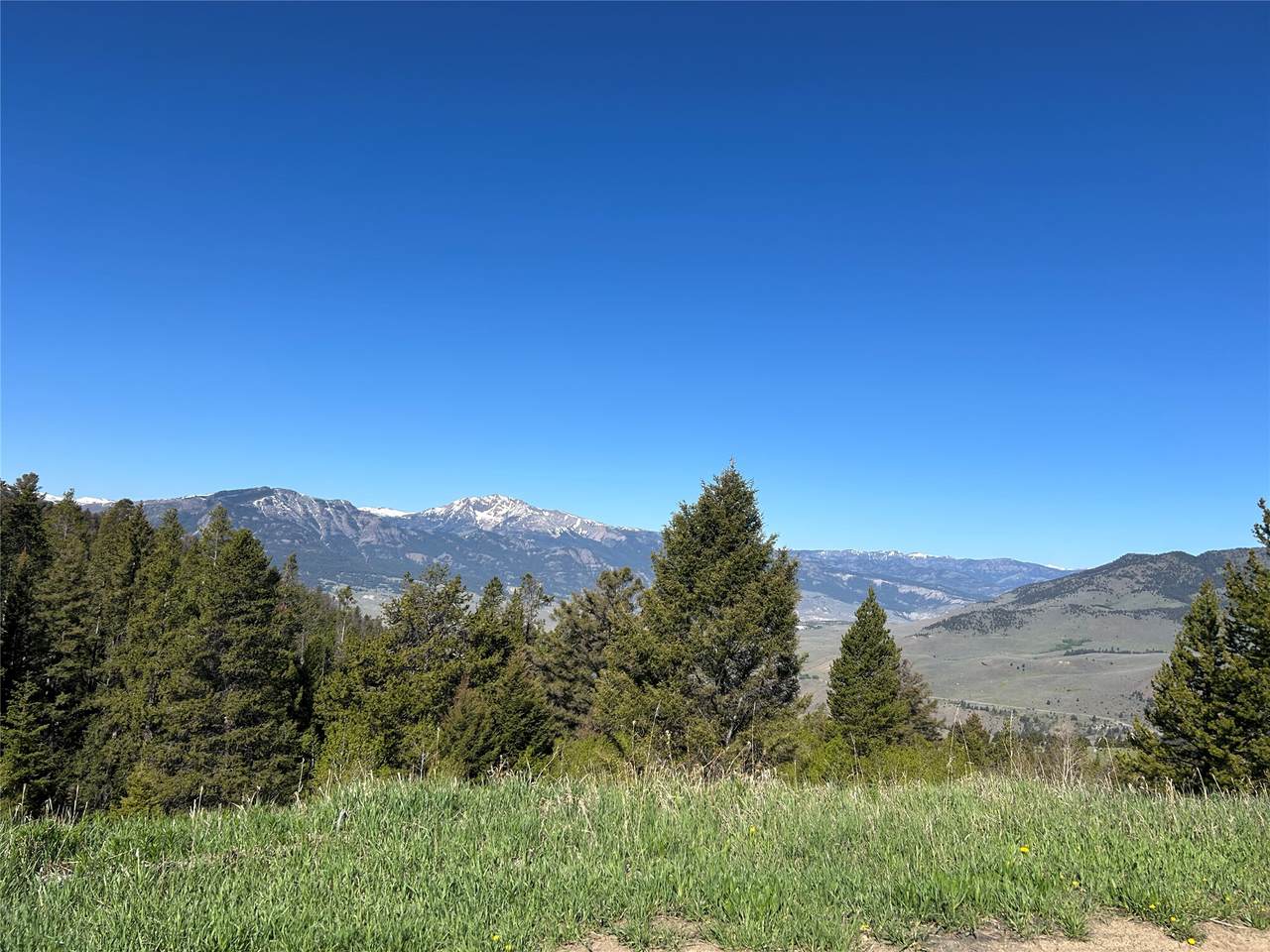384 Crevice Mountain Road - Photo 1