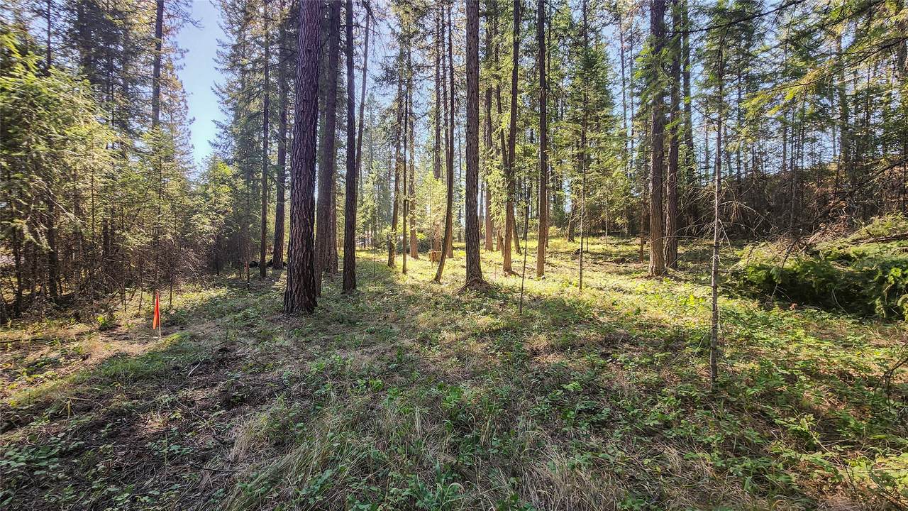 1505 Kootenai River Road - Photo 1