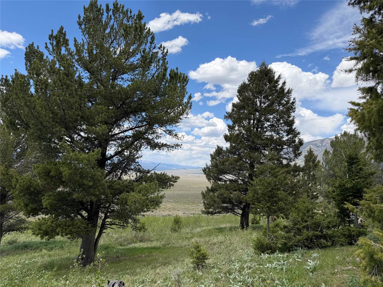 Lot 2 & 4A Continental Divide Road - Photo 1
