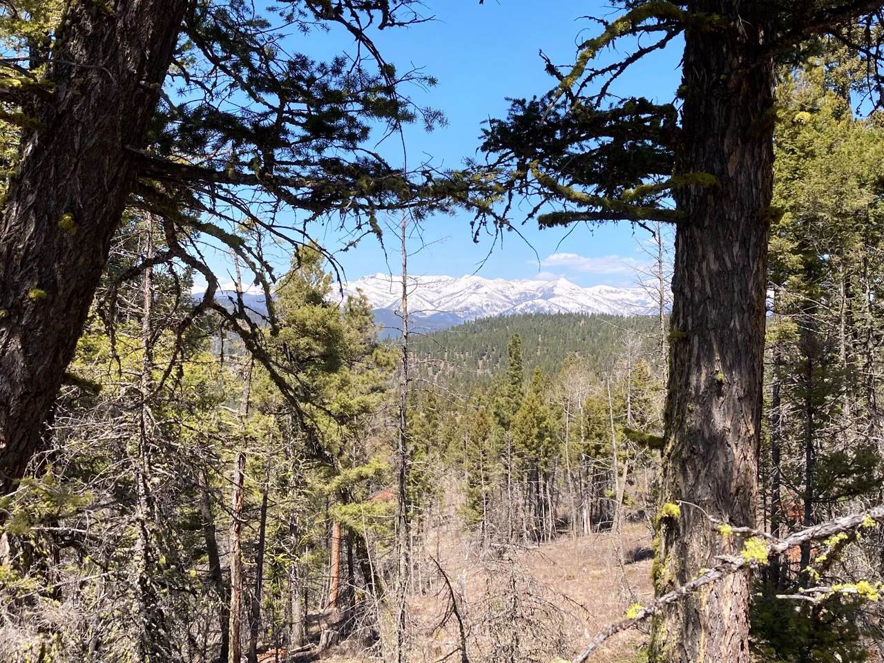 3595 Bear Gulch Road - Photo 1