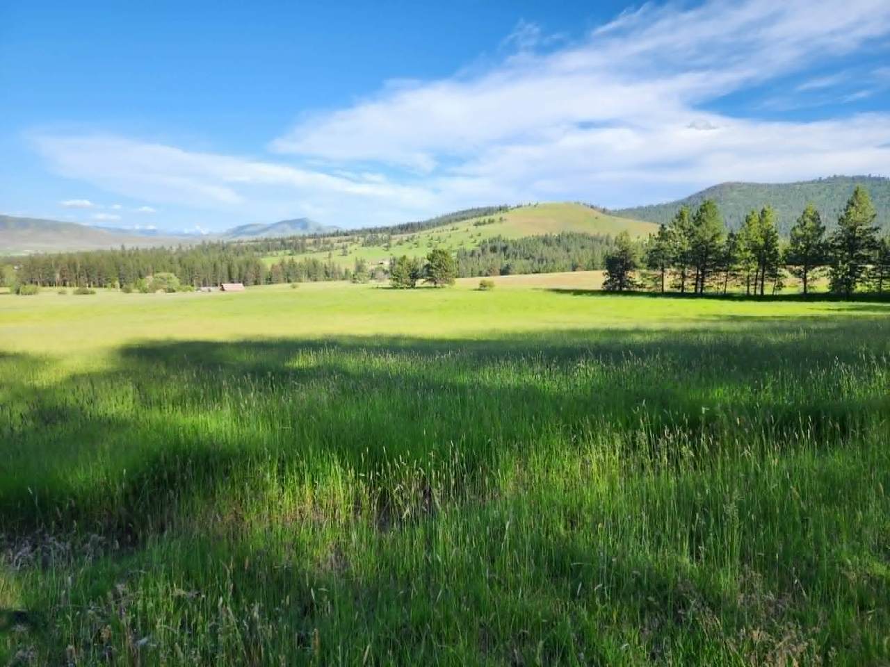 NHN Old Hot Springs Road - Photo 1