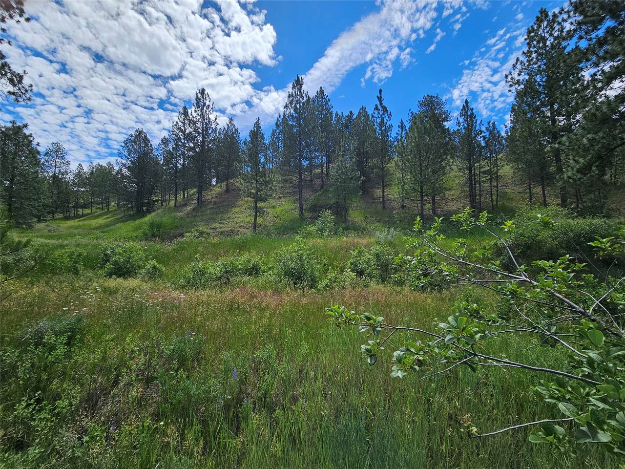 569 Creek Hollow Way - Photo 1