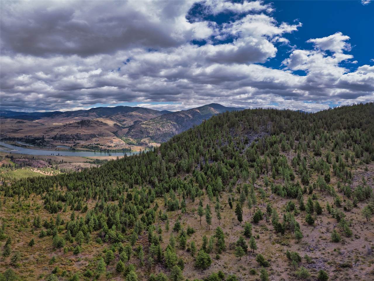 Lot 8 Bighorn Bluff Road - Photo 1