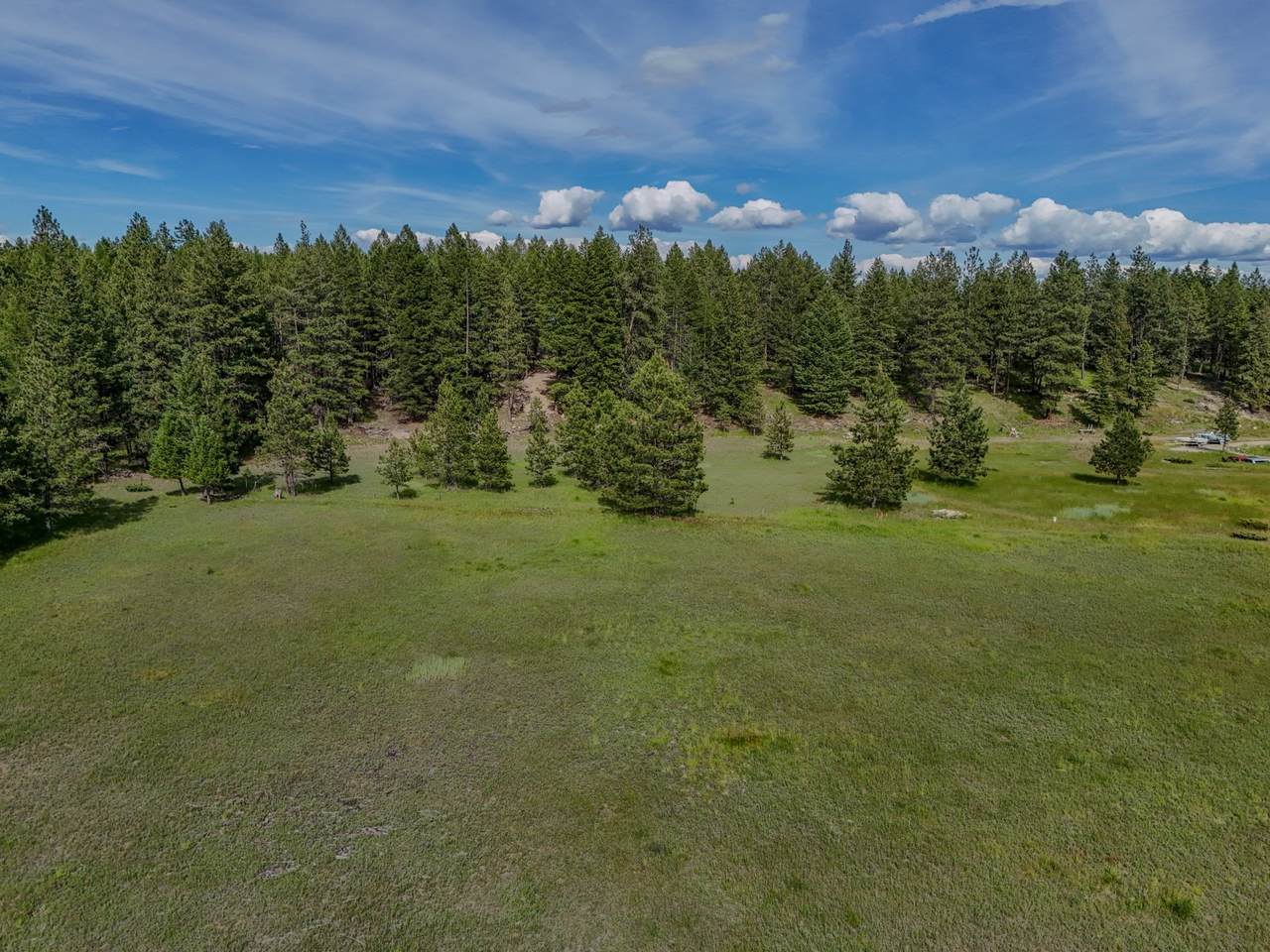 568 Bald Rock Road - Photo 1