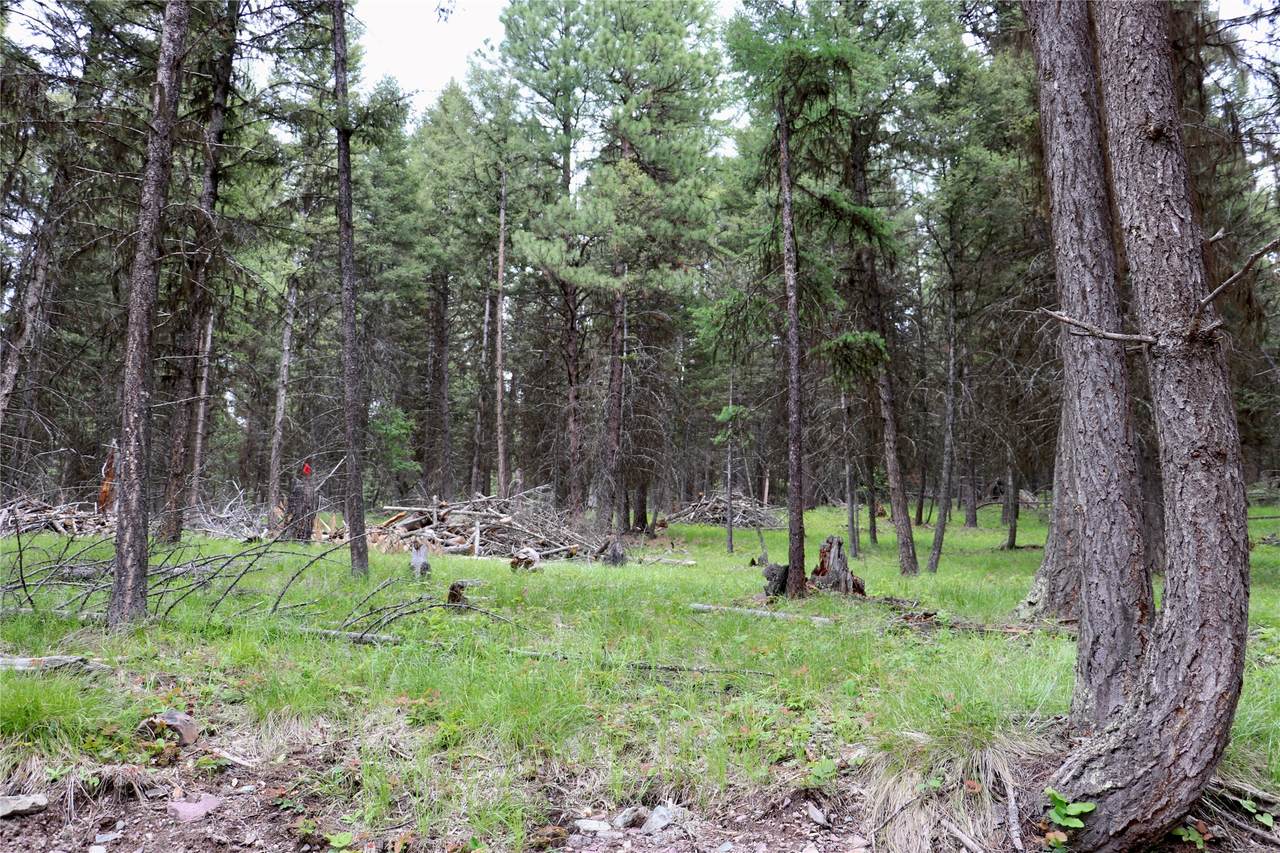 1016 Grandview Drive - Photo 1