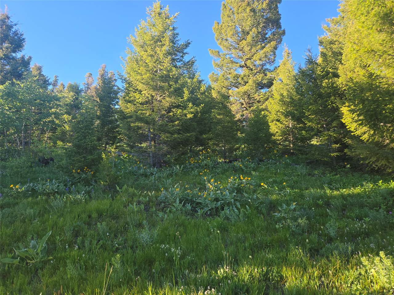 https://bt-photos.global.ssl.fastly.net/nmar/1280_boomver_1_30073666-2.jpg