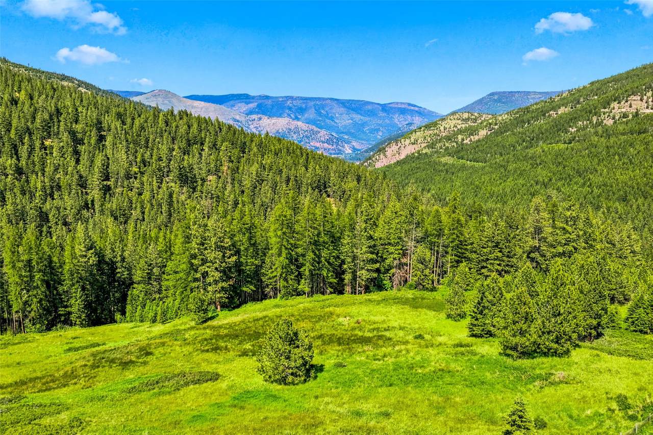 Nhn Pattee Canyon Road - Photo 1