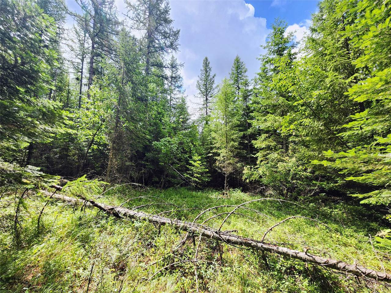 https://bt-photos.global.ssl.fastly.net/nmar/1280_boomver_1_30074171-2.jpg