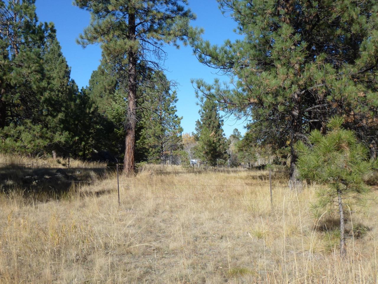 2 Moose Drive - Photo 1