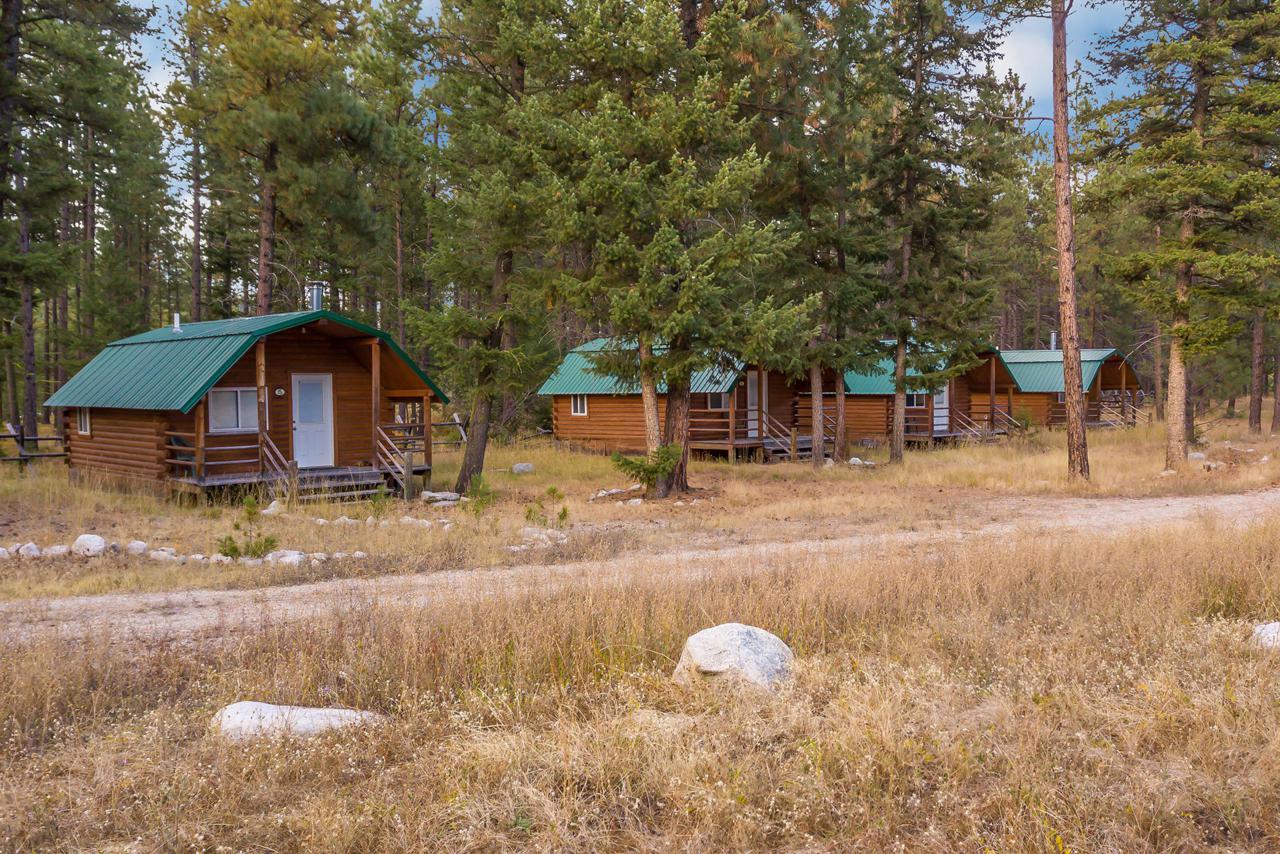 1000 Lost Horse Creek Road - Photo 1