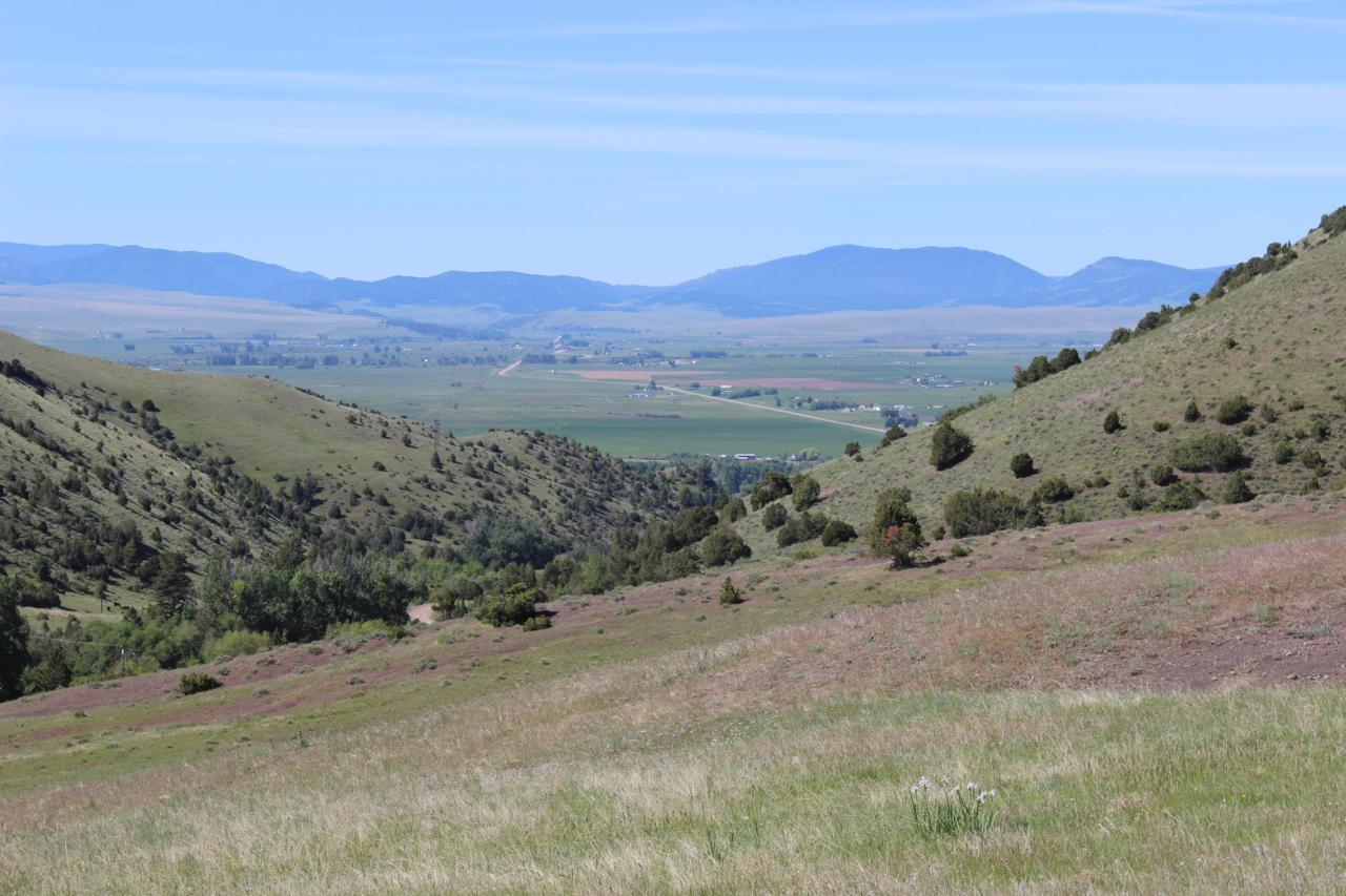 Nhn Edwards Gulch - Photo 1