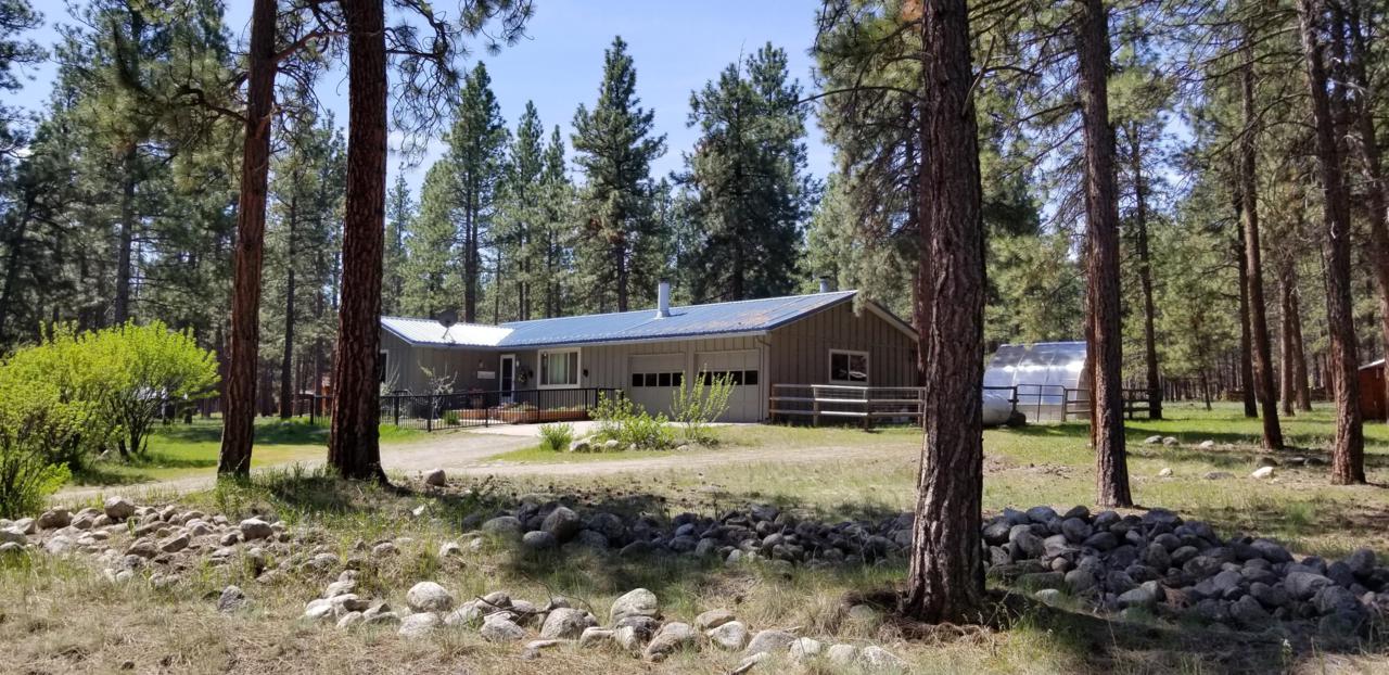 789 Bobcat Lane - Photo 1