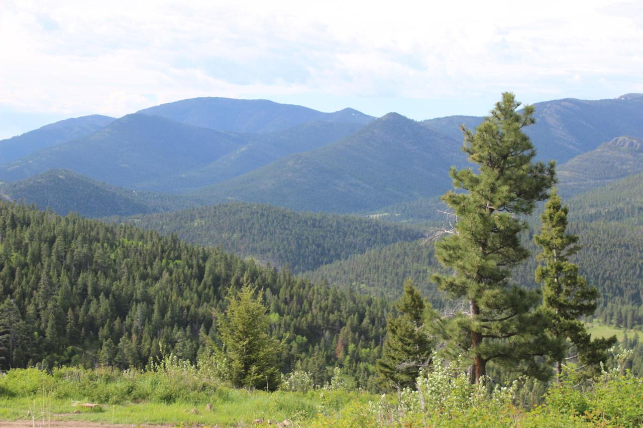 4270 Little Wolf Creek Road - Photo 1