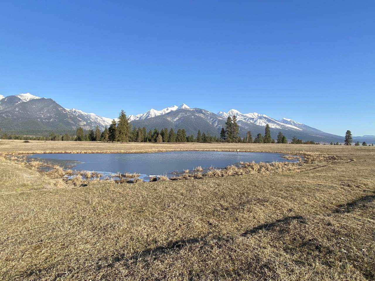 Nhn Timberline Way - Photo 1