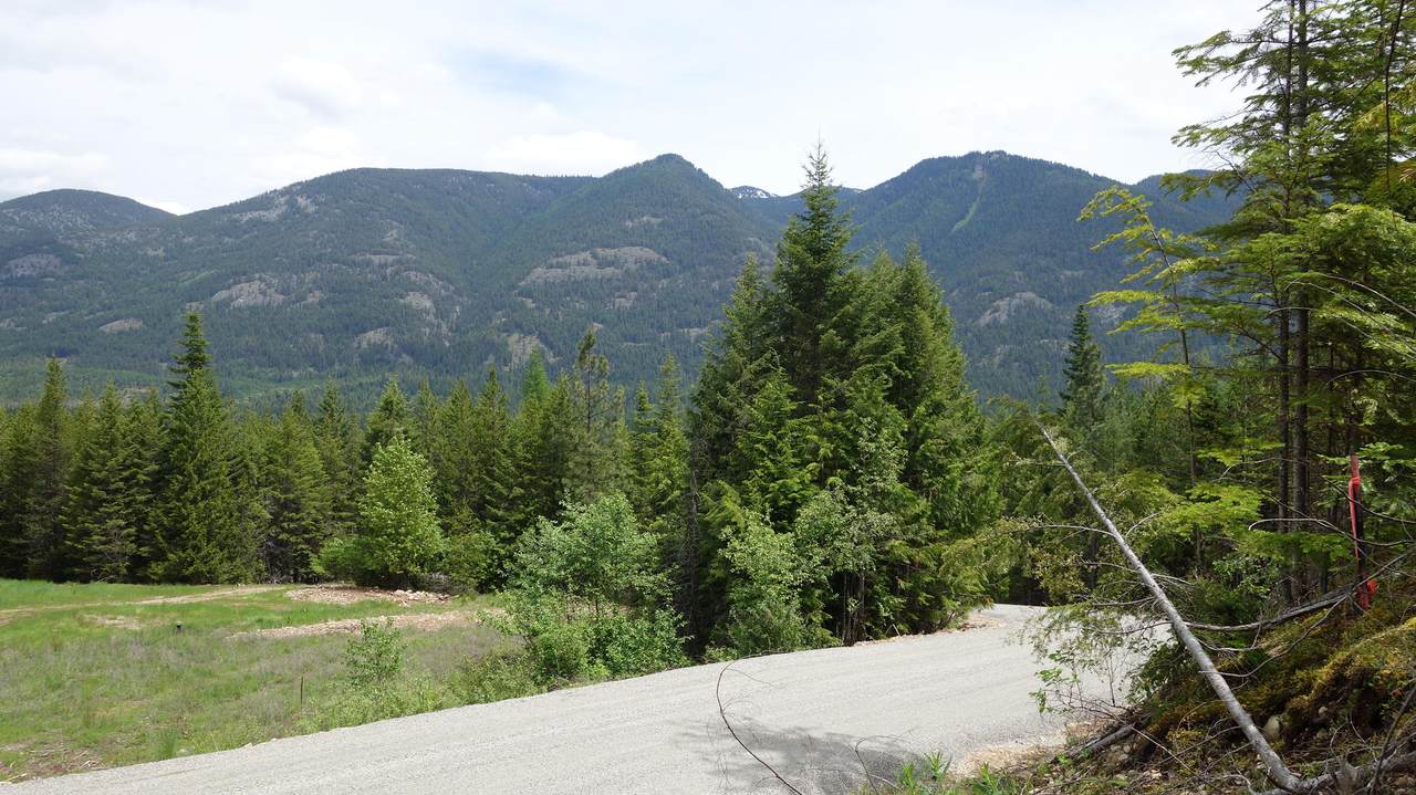 000 Kyrans Lane - Photo 1