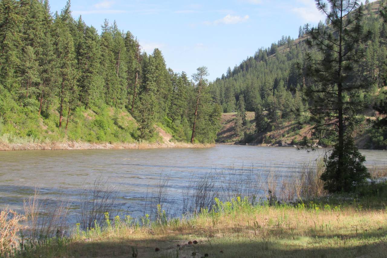 11073 Mullan Road - Photo 1
