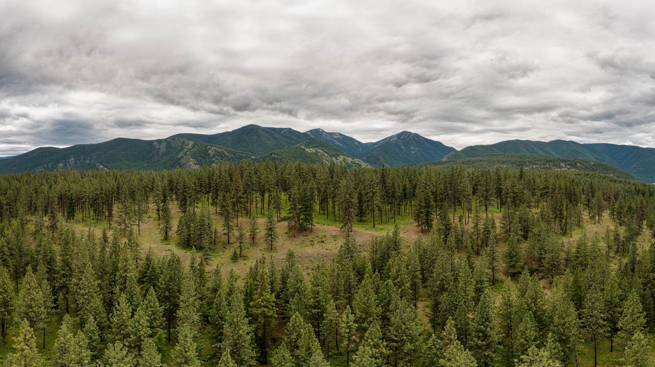 1467 Spring Gulch Road - Photo 1