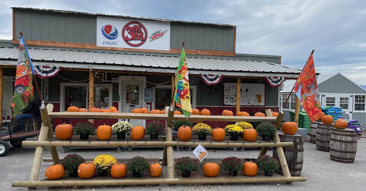 899 Three Mile Creek Road - Photo 1