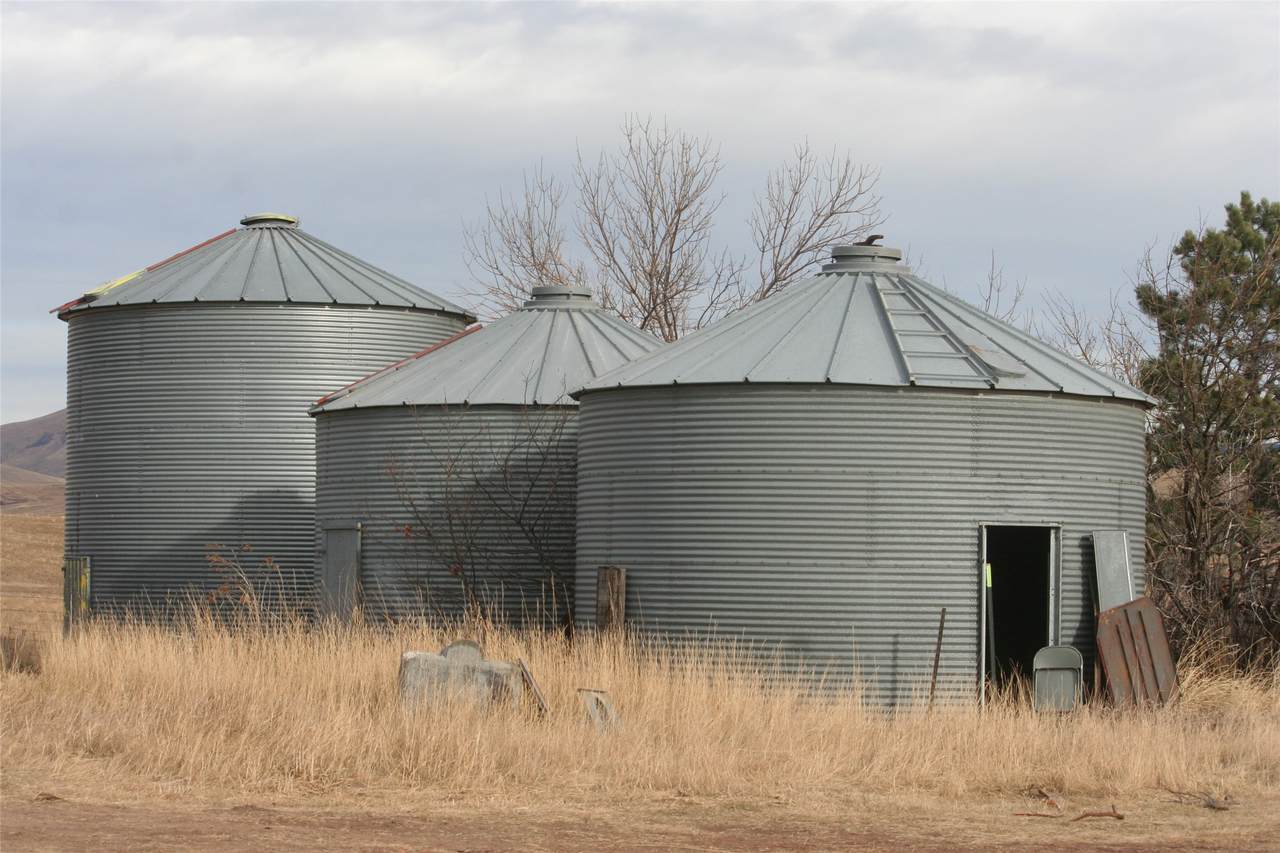 981 Cora Creek Road - Photo 1