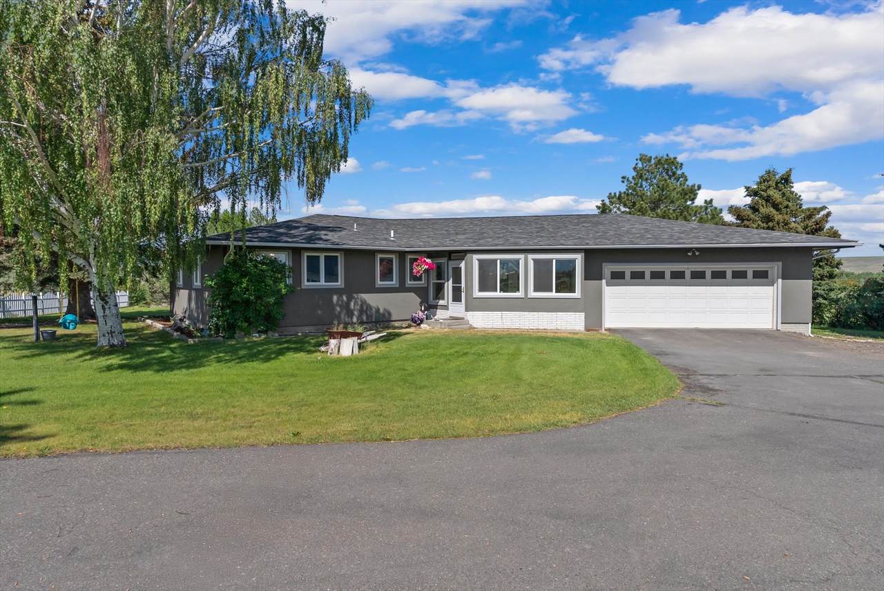 149 Meadow Vista Lane - Photo 1