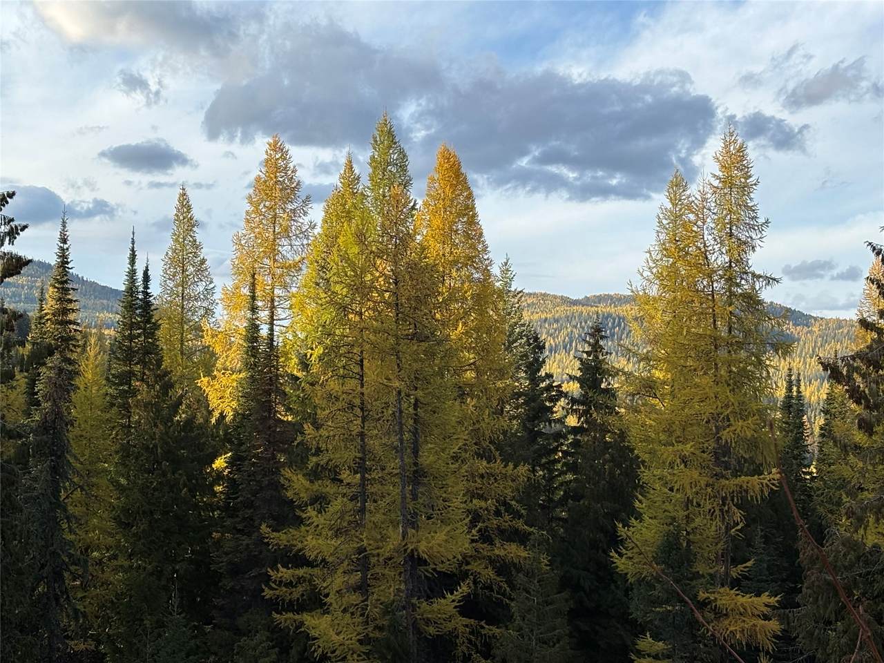 1089 Cedar Hills Road - Photo 1