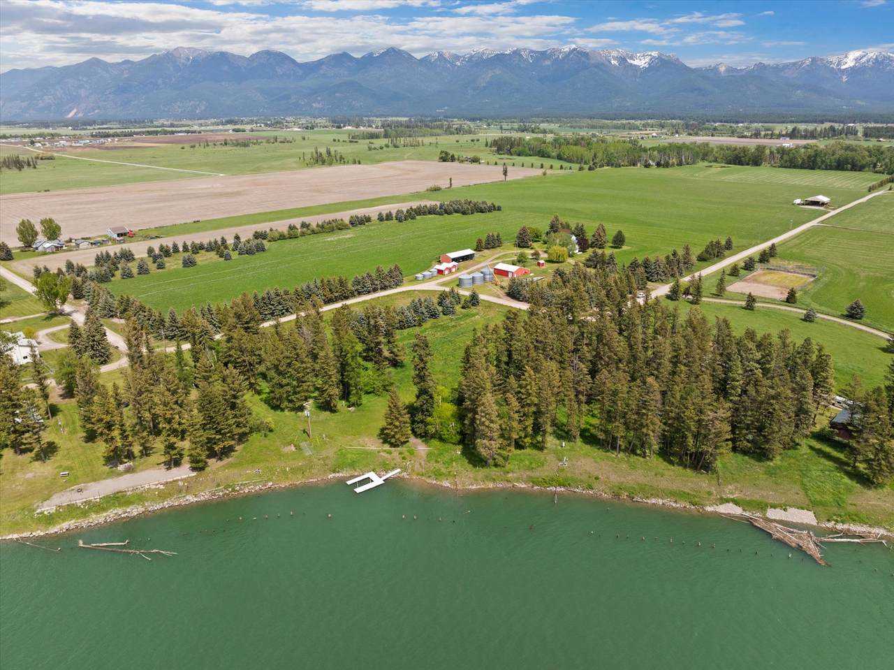 415 Sonstelie Road - Photo 1
