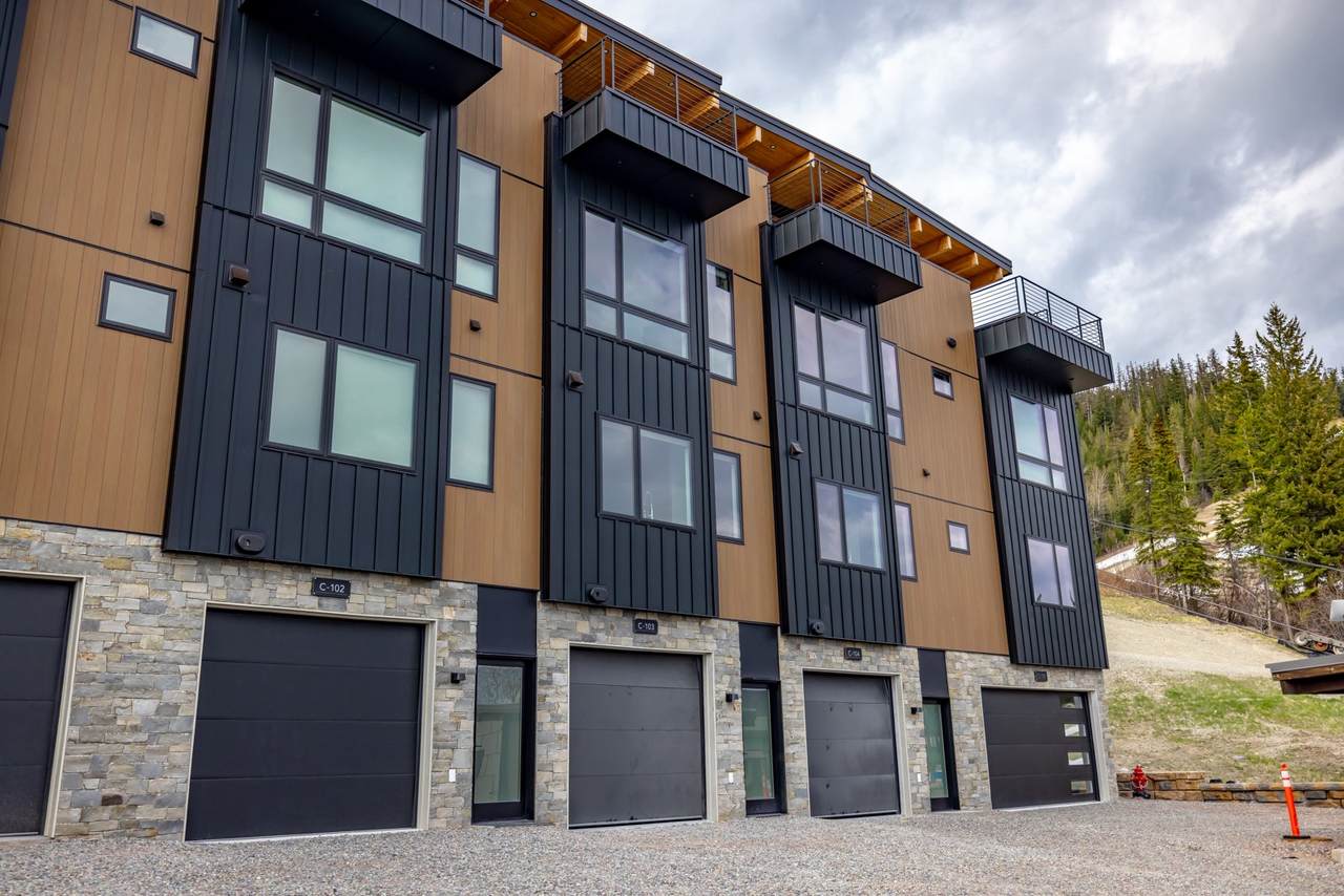 3900 Big Mountain Road - Photo 1