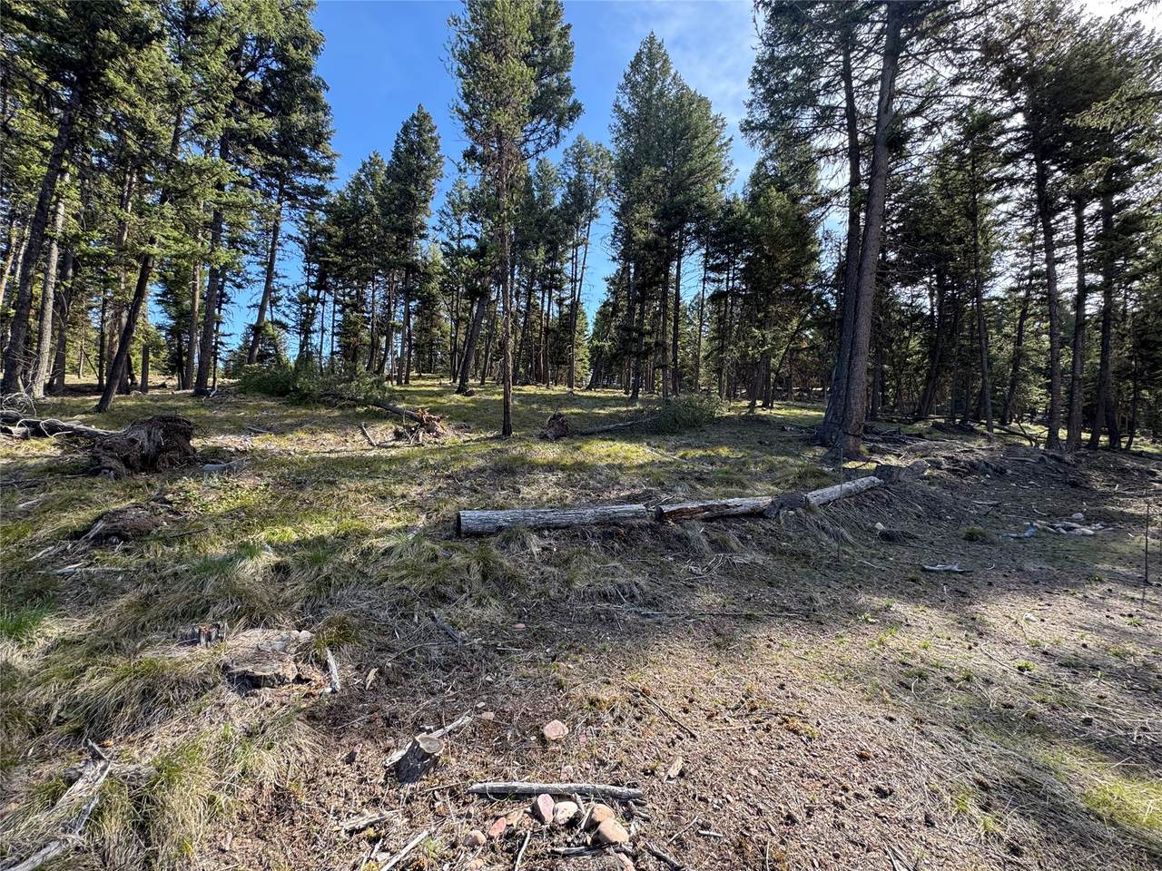 349 Seclusion Point - Photo 1