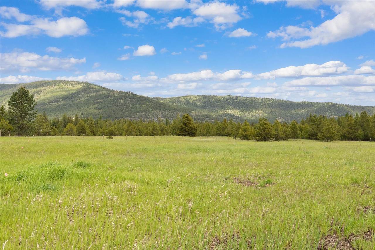 115 Marion Meadows Trail - Photo 1