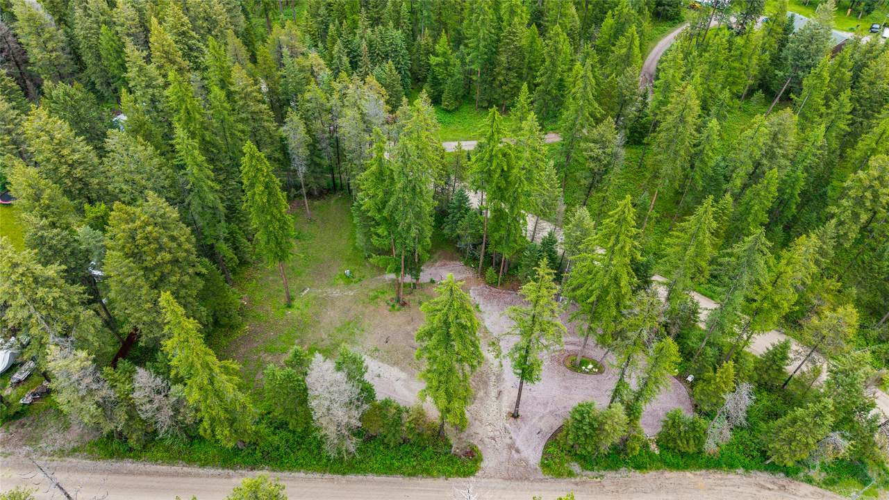 297 Moose Trail - Photo 1