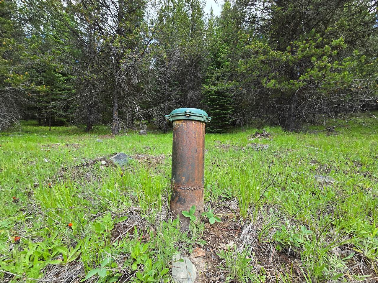 https://bt-photos.global.ssl.fastly.net/nmar/1280_boomver_2_30072512-2.jpg