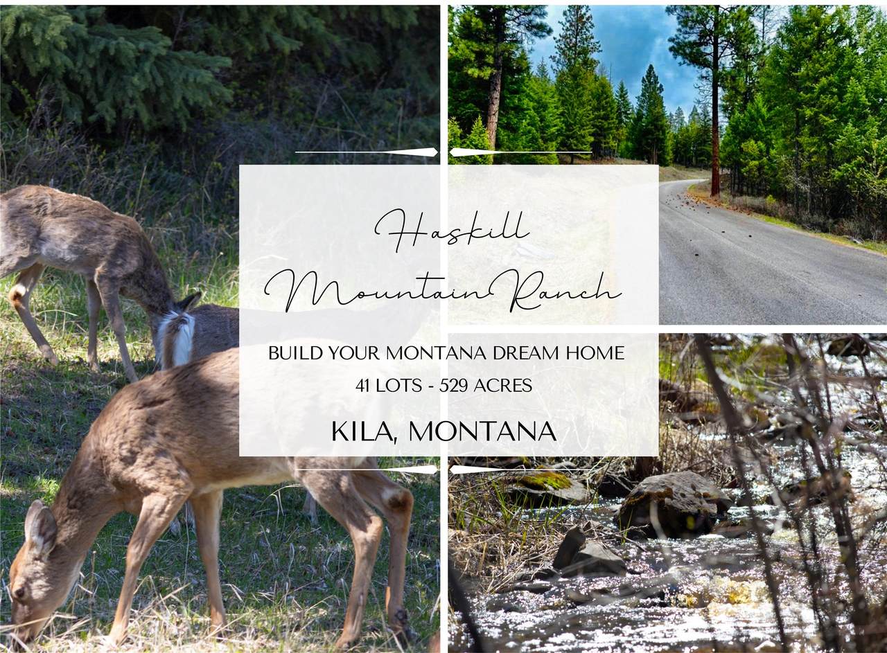 NHN Haskill Ranch Road - Photo 1