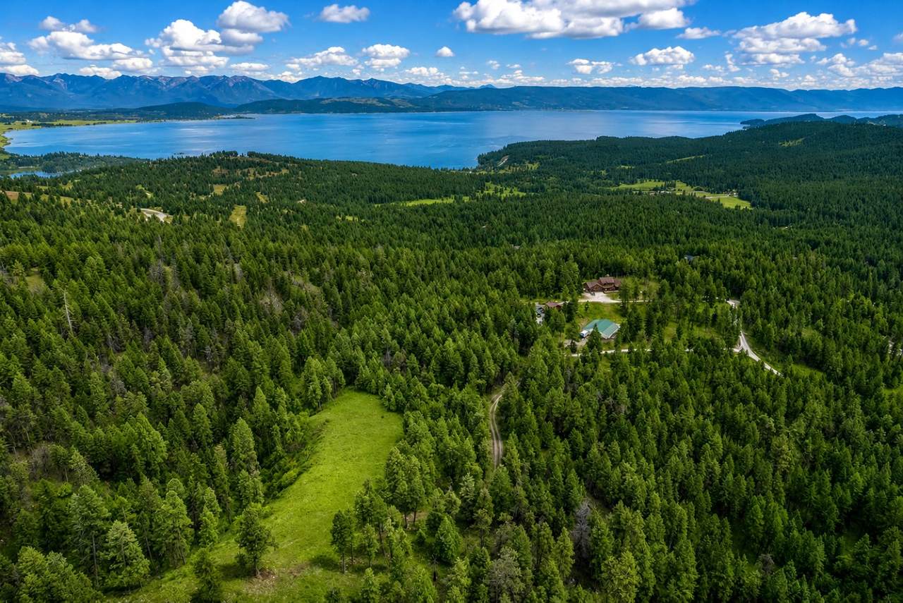 865 Lone Osprey Ridge - Photo 1