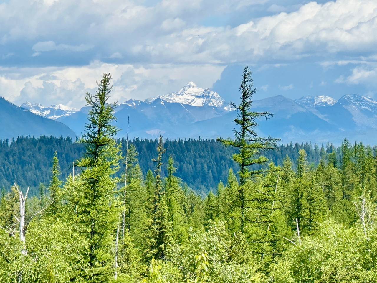 NHN Glacier Hills Drive - Photo 1