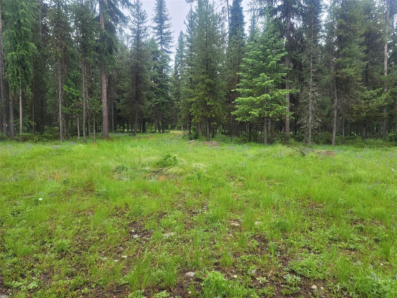 https://bt-photos.global.ssl.fastly.net/nmar/1280_boomver_1_30073944-2.jpg