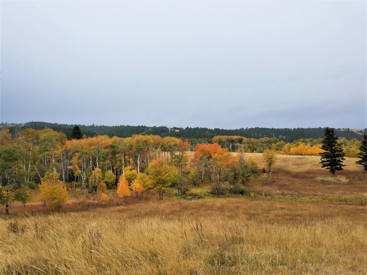 2261 Mullan Trail - Photo 1