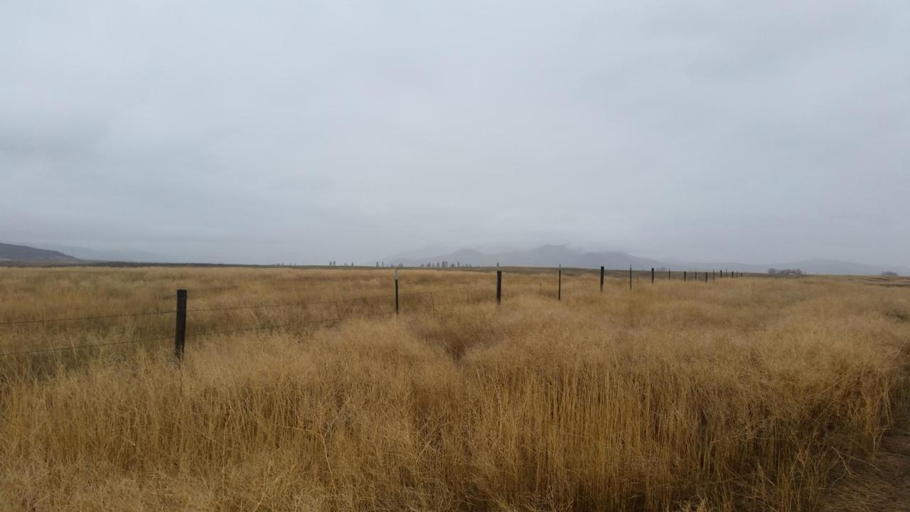 Nhn Emerson Road - Photo 1