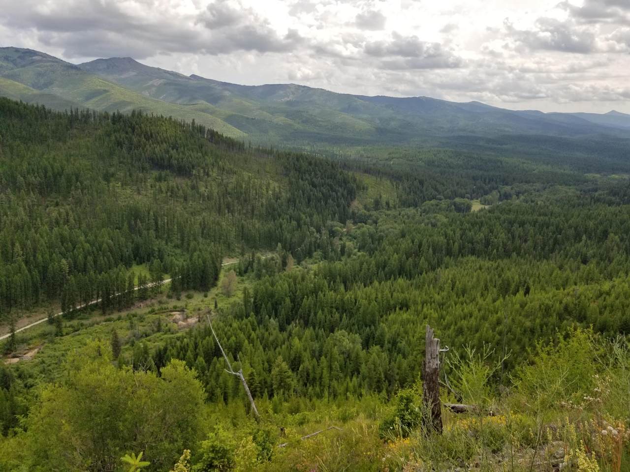 Nhn 9 Mile Road - Photo 1