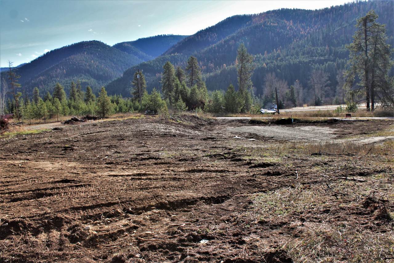119 Yellowstone Trail - Photo 1
