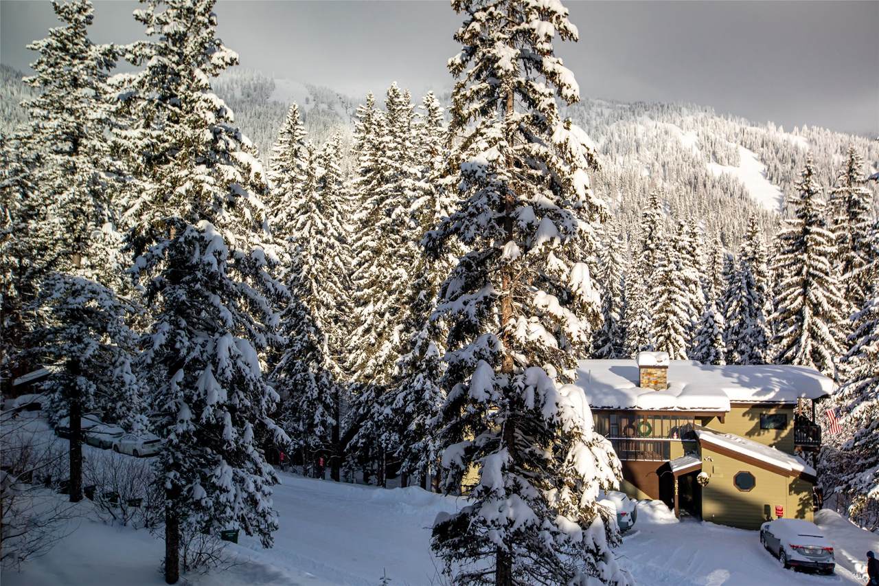 3820 Tamarack Avenue - Photo 1